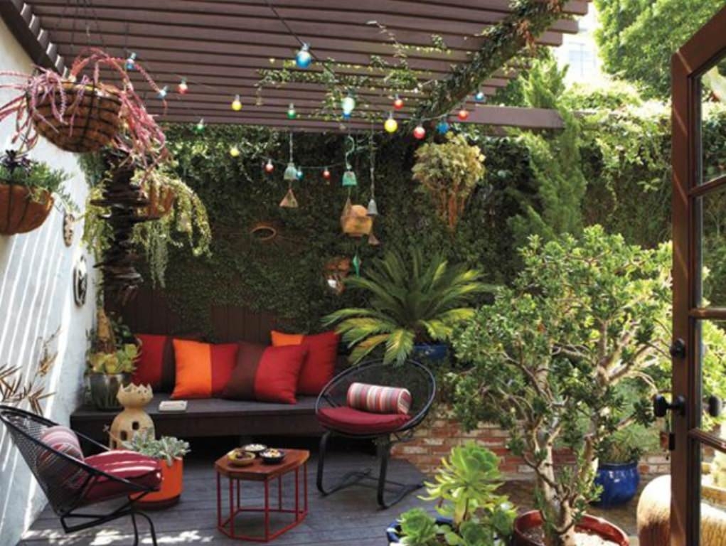 PunjabKesari Backyard Vastu Tips: